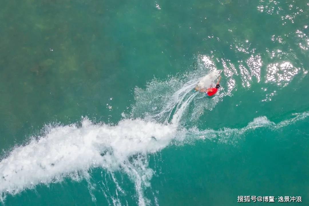 我的王朝